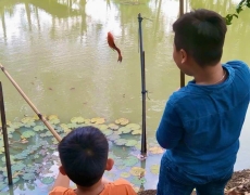 Câu cá thư giãn