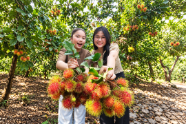 Khu du lịch sinh thái Long Khánh: gợi ý chuyến đi cuối tuần trong ngày