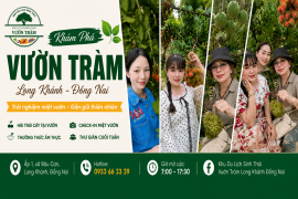 Du Lịch Long Khánh Đồng Nai Có Gì Chơi? Khám Phá Vườn Tràm Và Những Trải Nghiệm Miệt Vườn Hấp Dẫn