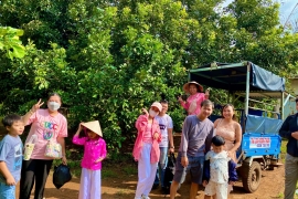 Khám Phá Vườn Tràm – Trải Nghiệm Vườn Trái Cây Long Khánh Đúng Nghĩa "Miệt Vườn"