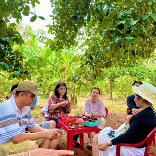 Hái trái cây tại vườn